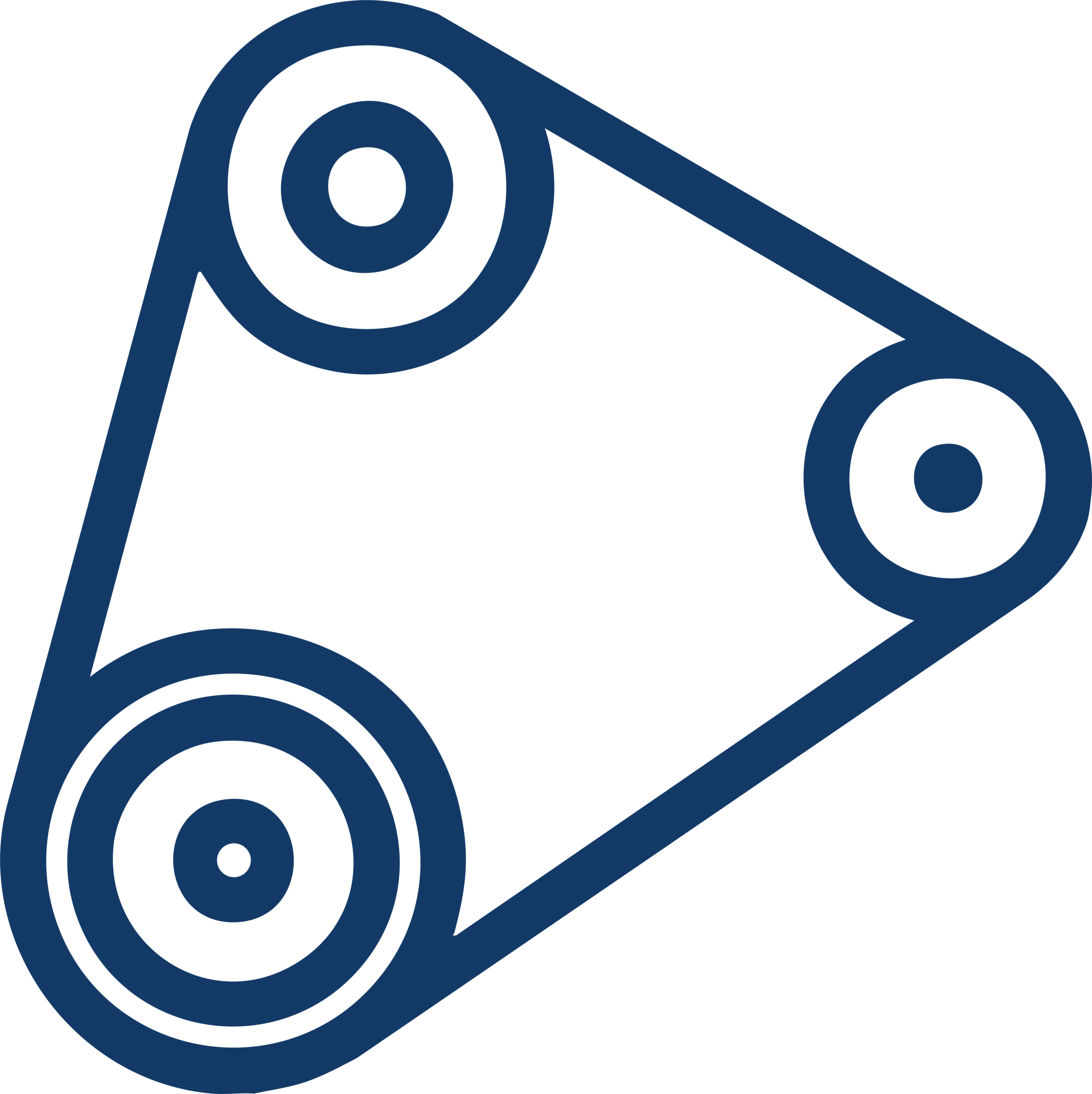 Distribution